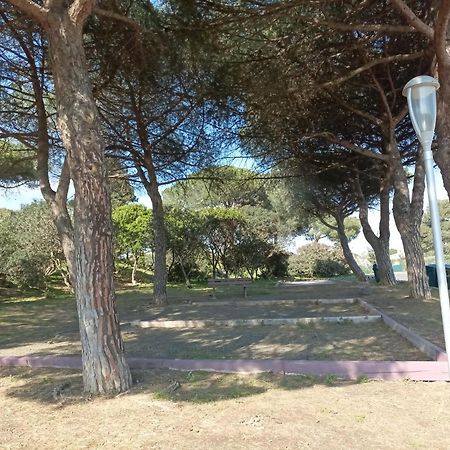 Lara 3 - T2 Loggia Piscine 2 Lits Doubles Parking Pres Du Centre-Port Et Ile Loisirs Apartman Agde Kültér fotó