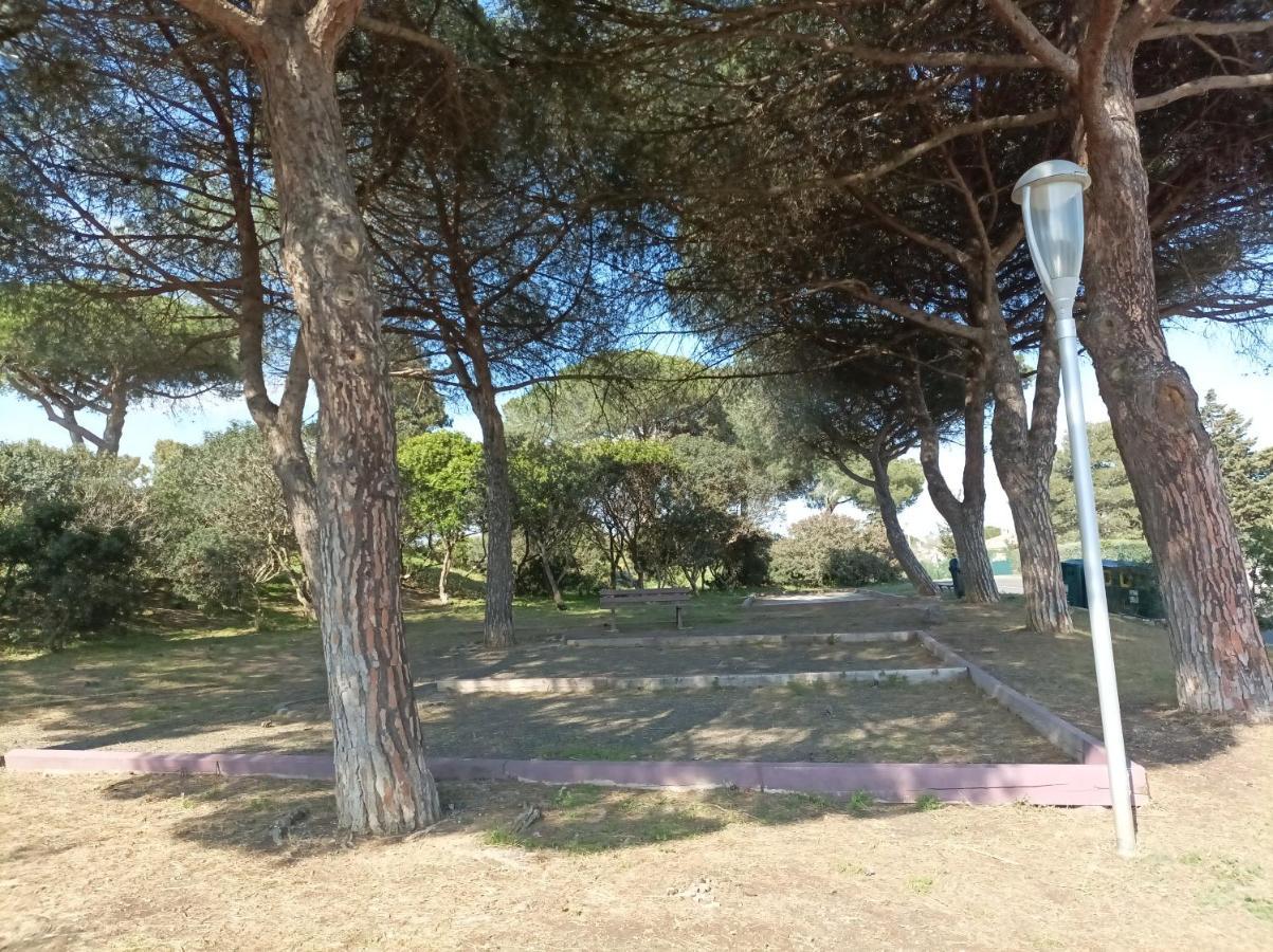 Lara 3 - T2 Loggia Piscine 2 Lits Doubles Parking Pres Du Centre-Port Et Ile Loisirs Apartman Agde Kültér fotó